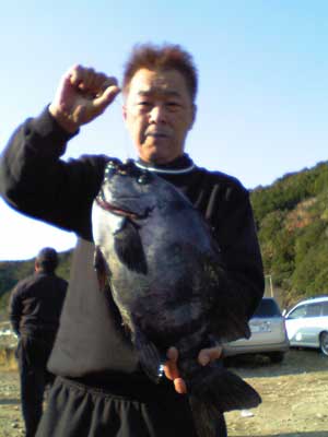 川口44cm石鯛